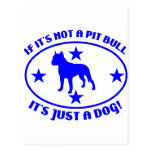 PIT BULL NOT A DOG POST CARD