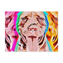 Pit Bull Pop Art Post Cards
