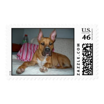 Pit bull postage by Mikki67 Pit bull postage