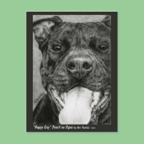 Pit Bull Postcard - "Happy Guy"