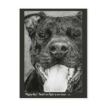 Pit Bull Postcard - "Happy Guy"