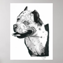 Pit Bull Poster