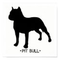 Pit Bull Print