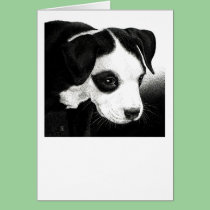 Pit Bull Pup Card - "Pirate Girl" cards