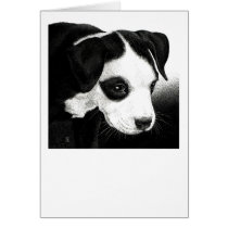 Pit Bull Pup Card - "Pirate Girl"