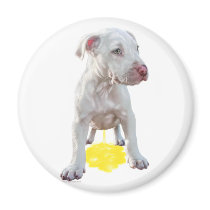 Pit Bull Puppy Piddles OOPS Refrigerator Magnets