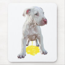 Pit Bull Puppy Piddles OOPS mousepads