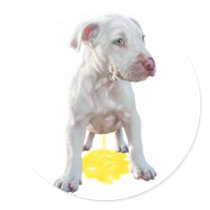 Pit Bull Puppy Piddles OOPS stickers