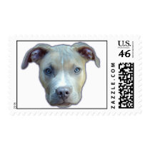 Pit Bull Puppy Stamp