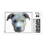 Pit Bull Puppy Stamp
