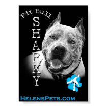 pit bull sharky poster posters