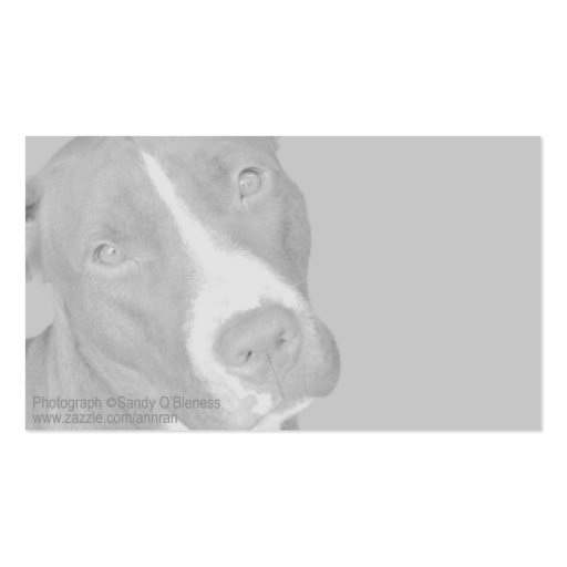 Pit Bull Terrier #2 -  Photo Business Card (back side)