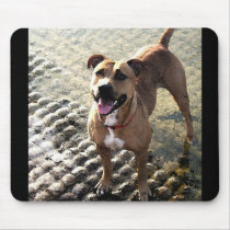 Pit Bull Terrier Mouse Mats