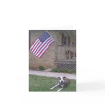 Pit Bull Terrier Notecard
