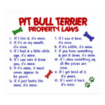 PIT BULL TERRIER PL2 posters by poochloverstuff PIT BULL TERRIER PL2 posters