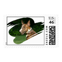 Pit Bull Terrier Postage Stamp