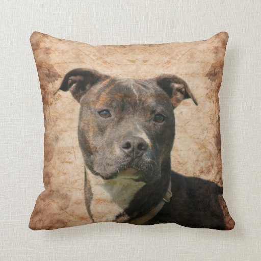 pitbull throw pillows