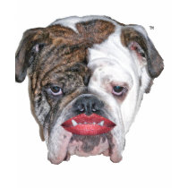 Pit Bull w Lipstick t-shirts