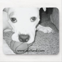 Pit bull with ball mousepad