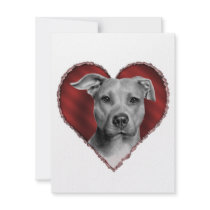 Pit Bull with Heart Invites