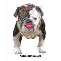 Pit Bull with Lipstick and Pearls t-shirts