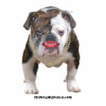 Pit Bull with Lipstick and Pearls Shirt