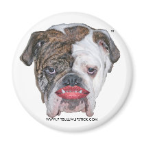 PIT BULL WITH LIPSTICK magnets
