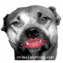 Pit bull with lipstick photo sculptures