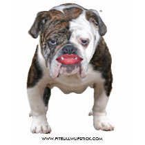 PIT BULL WITH LIPSTICK t-shirts