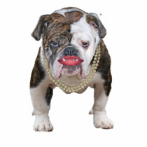 Pit Bull With Pearls photo sculptures