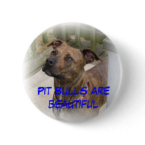 Pit Bulls are beautiful buttons