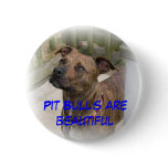 Pit Bulls are beautiful buttons