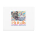 Pit Bulls are for Lovers postcard by ThePACK Pit Bulls are for Lovers postcard