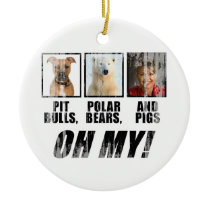 Pit bulls, Polar Beas, and pigs Faded.png ornaments