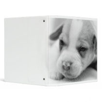 Pit Puppy Binder