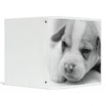 Pit Puppy Binder