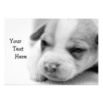 Pit Puppy Invitation invitations