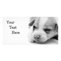 Pit Puppy Photo Card