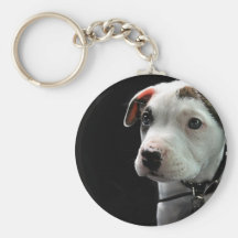 Pit Puppy T-Bone Keychain