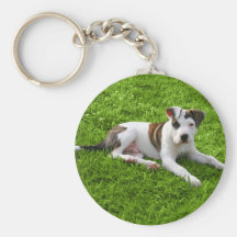 Pit Puppy T-Bone Keychains