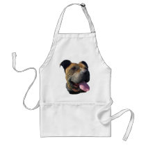 Pitbull apron