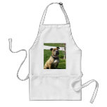 Pitbull apron