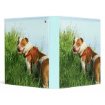 Pitbull binder