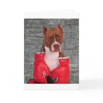 Pitbull Boxer cards by lover196969 Pitbull Boxer cards
