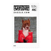 Pitbull Boxer Stamps
