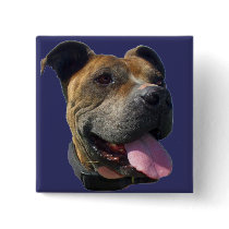 Pitbull button