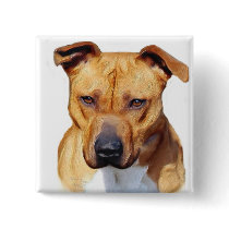 Pitbull button