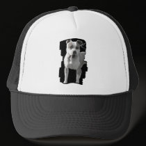 pitbull cap hats