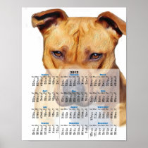 Pitbull dog 2012 calendar poster