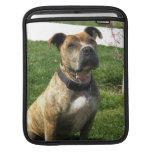 Pitbull dog iPad sleeves